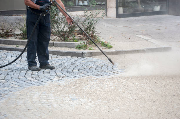 Best Boat and Dock Cleaning  in Durand, WI